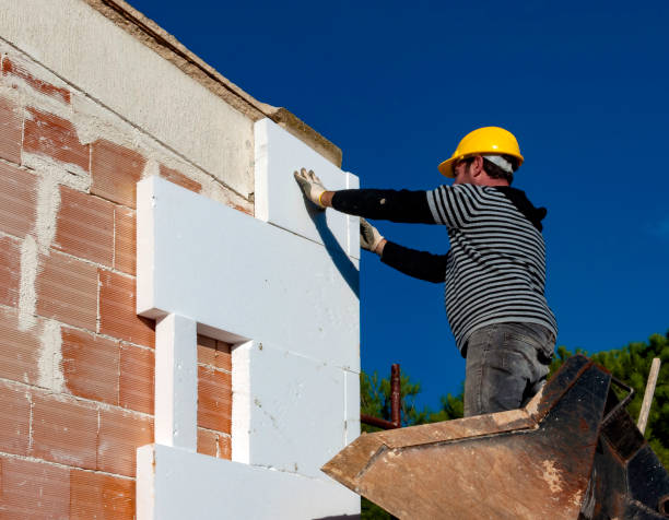 Best Insulation Repair Services  in Fort Pierce North, FL