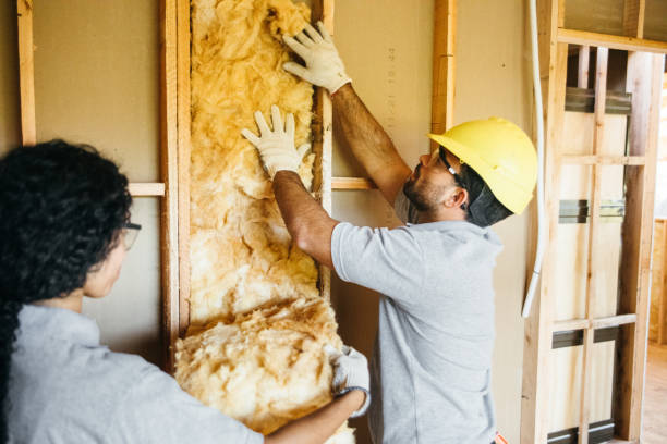 Best Blown-in Insulation  in Fort Pierce North, FL